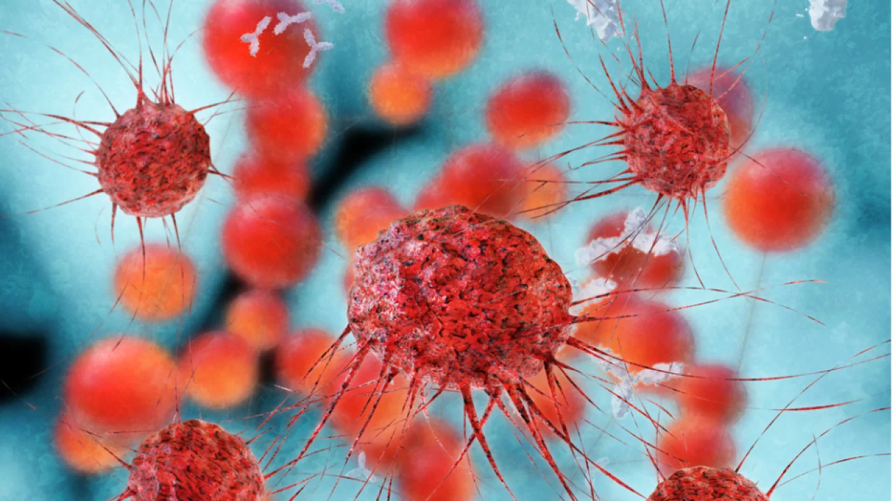 Gençlerde Kanser Vakaları Artıyor: Uzmanlardan Erken Tanı ve Farkındalık Uyarısı