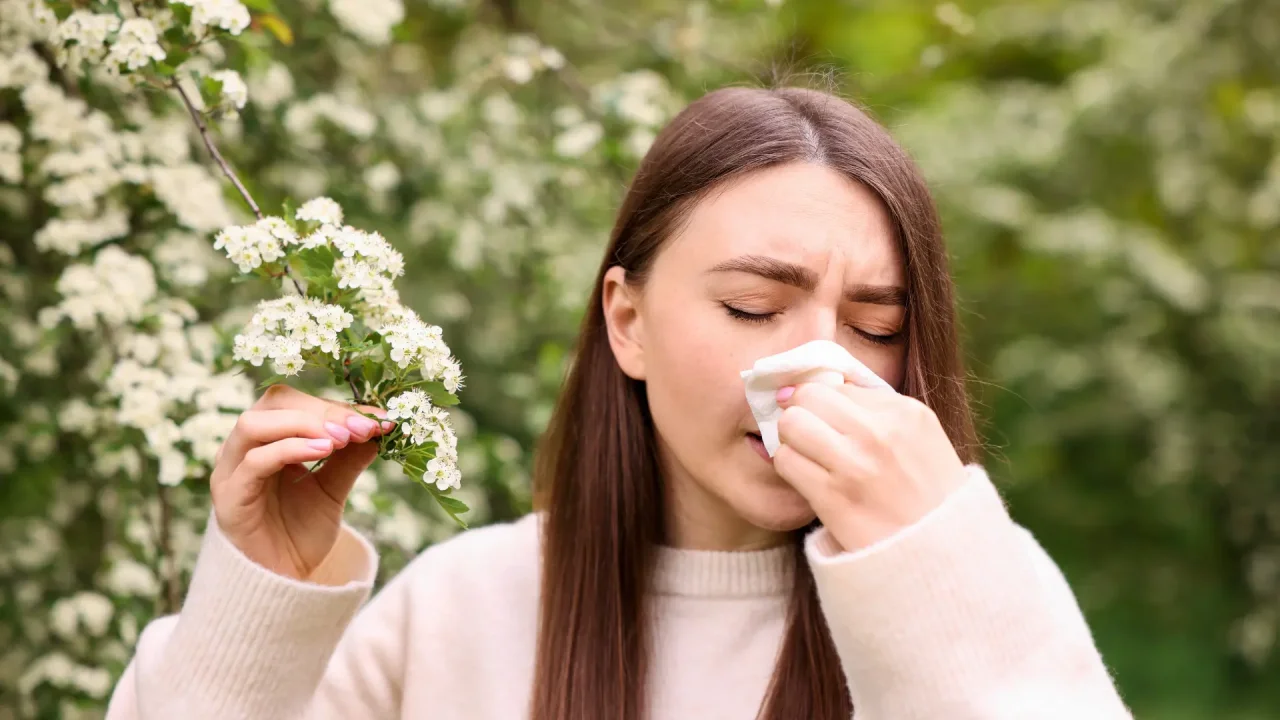 Bahar Geldi, Alerjik Rinit Artıyor: Uzmanlardan Önemli Uyarılar