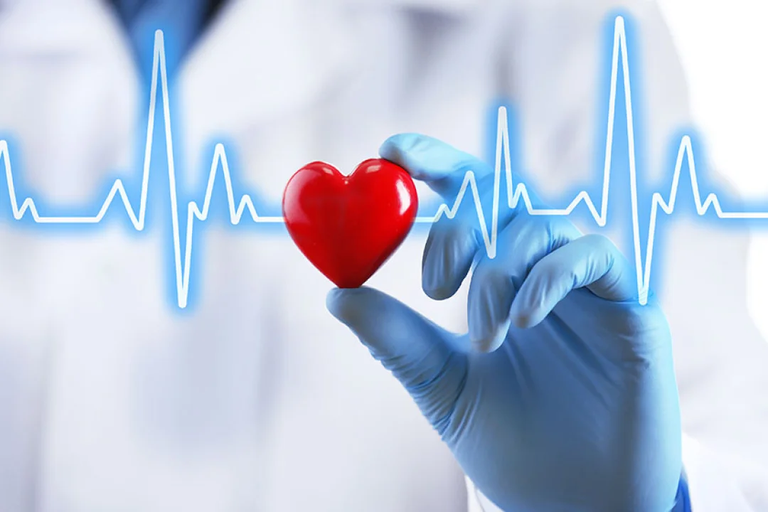 Organ Bağışında Yeni Dönem: e-Devlet ve e-Nabız Üzerinden Başvuru Başladı