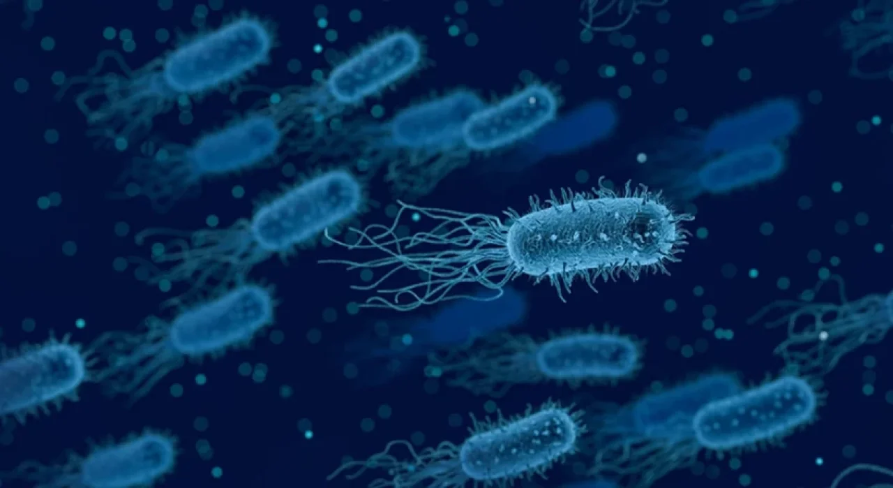 Sağlık Bakanlığı’ndan “Vibrio Bakterisi” Hakkında Açıklama: Türkiye’de Vaka Yok