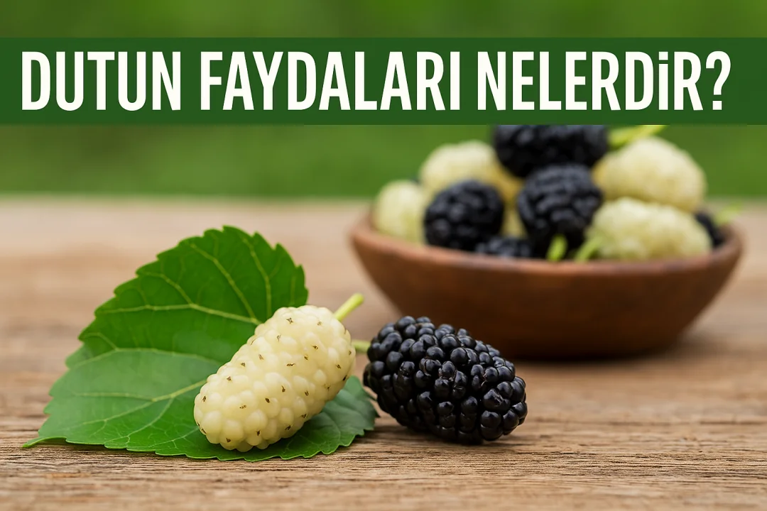 Dutun Faydaları Nelerdir?