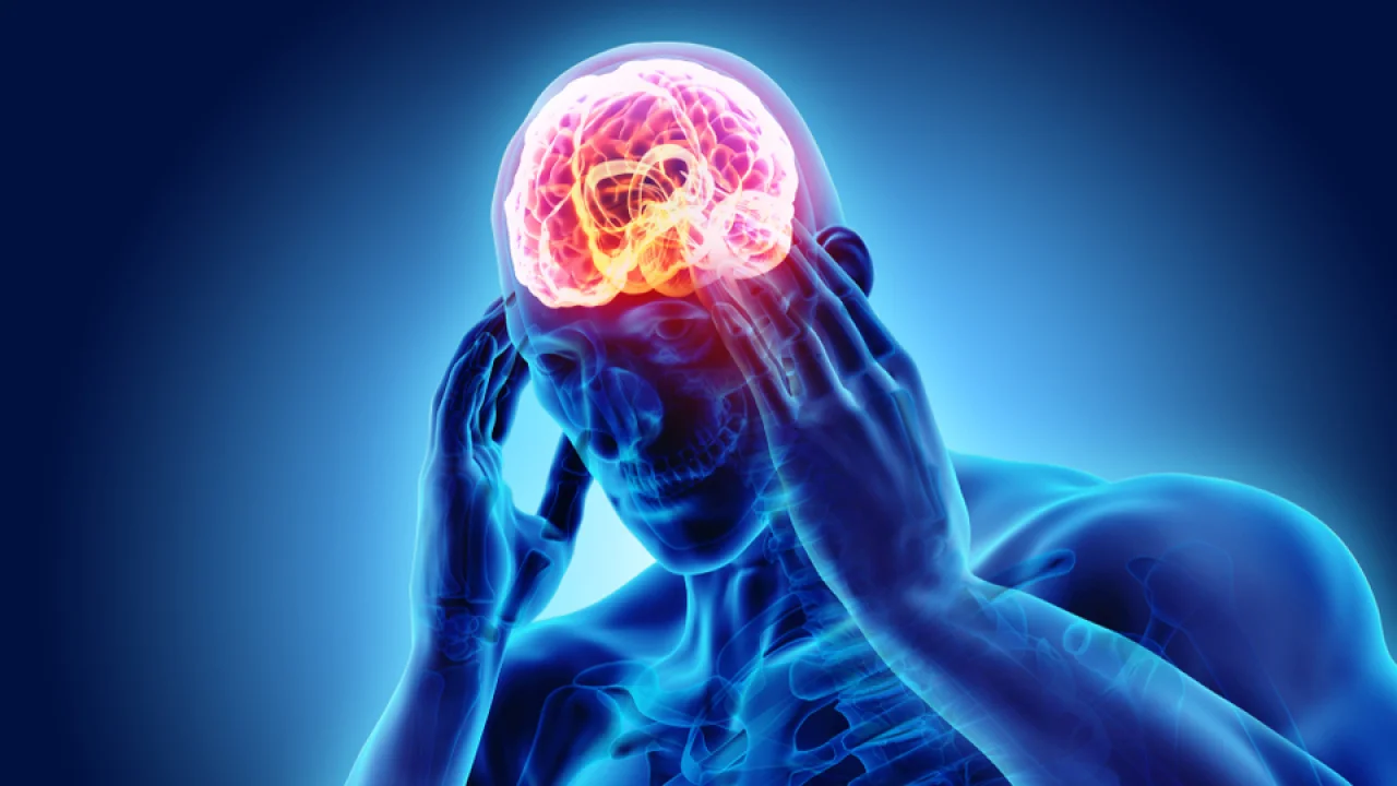 Bağımlılık Yapmayan Doğal Ağrı Kesme Mekanizması Keşfedildi